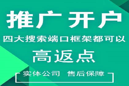 搜索开户返点政策下的成功案例分析